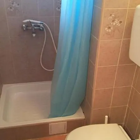 Apartment Igor *